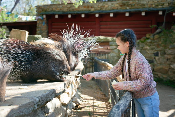 Zoo Görlitz